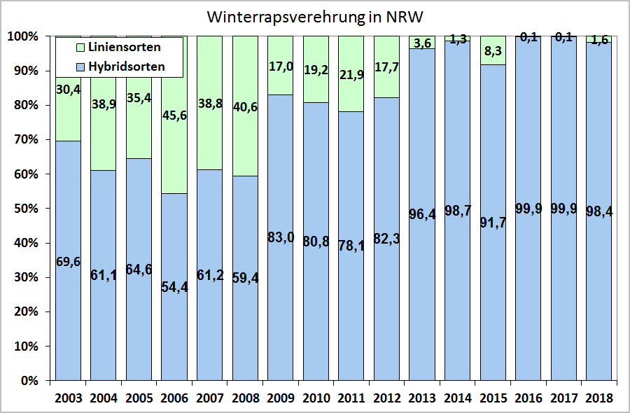 Winterrapsverehrung in NRW