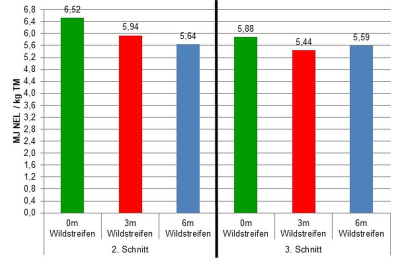 Abbildung 6: Energiegehalte der Grassilagen mit den Anteilen der unterschiedlich breiten Rückzugsstreifen ermittelt in der energetischen Futterwertprüfung